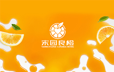 某良橙——株洲LOGO设计